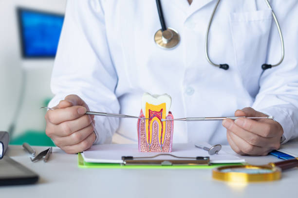 Best Root Canal Emergency Dentist  in Eastwood, LA